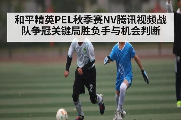 和平精英PEL秋季赛NV腾讯视频战队争冠关键局胜负手与机会判断 | kaiyun