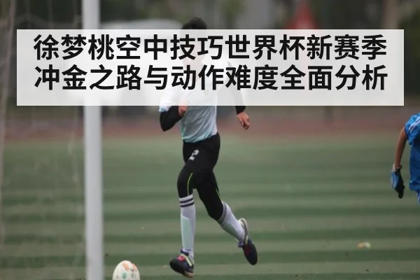 徐梦桃空中技巧世界杯新赛季冲金之路与动作难度全面分析 | kaiyun